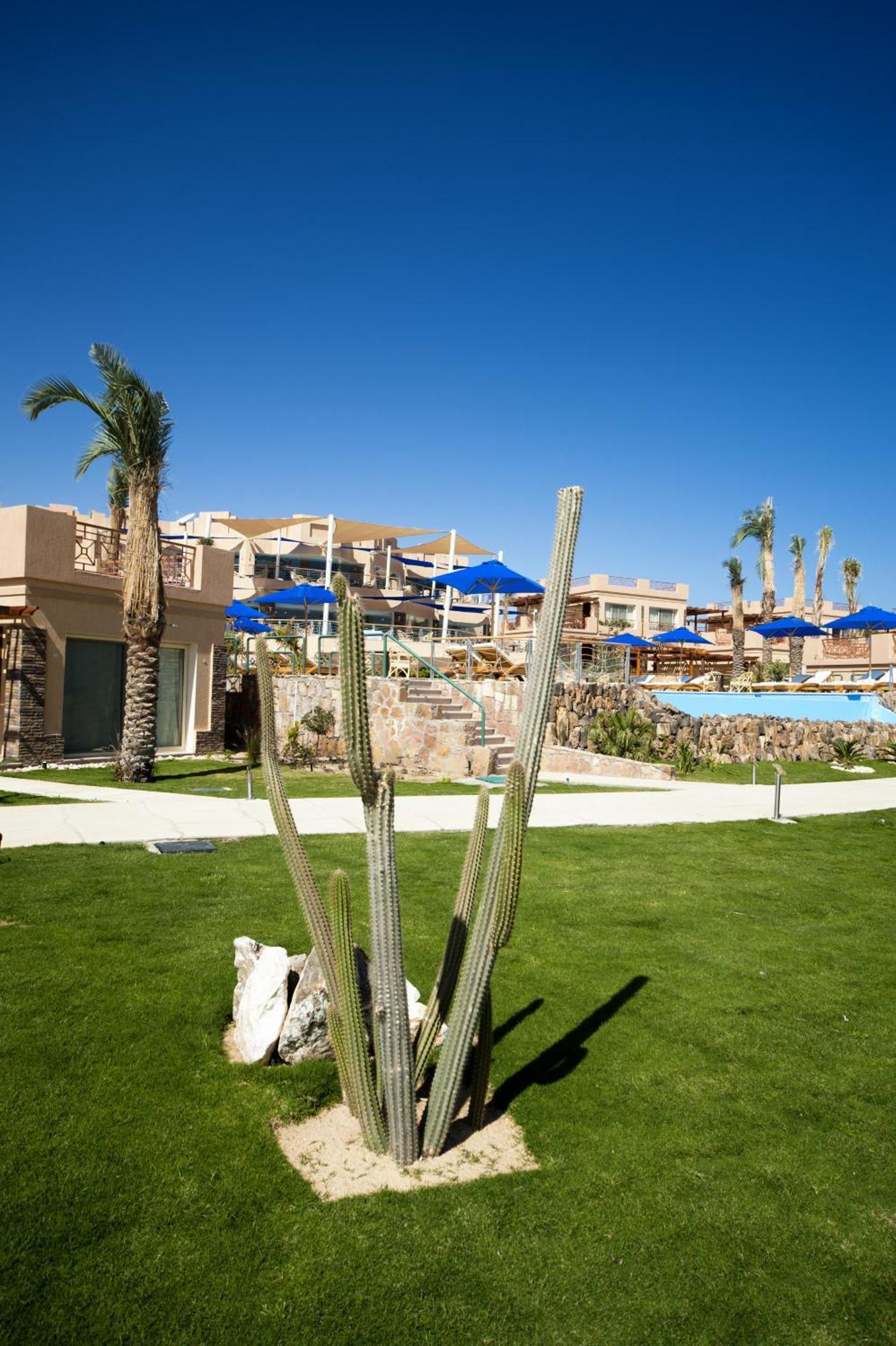 Shams Prestige Abu Soma (Adults Only) Hotel Hurghada Buitenkant foto